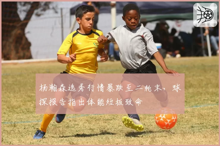 杨瀚森选秀行情暴跌至二轮末，球探报告指出体能短板致命